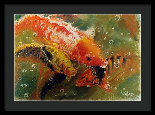 Dance of the Koi - Framed Print