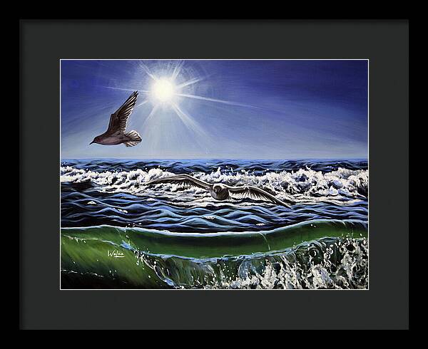 Seagull Freedom - Framed Print