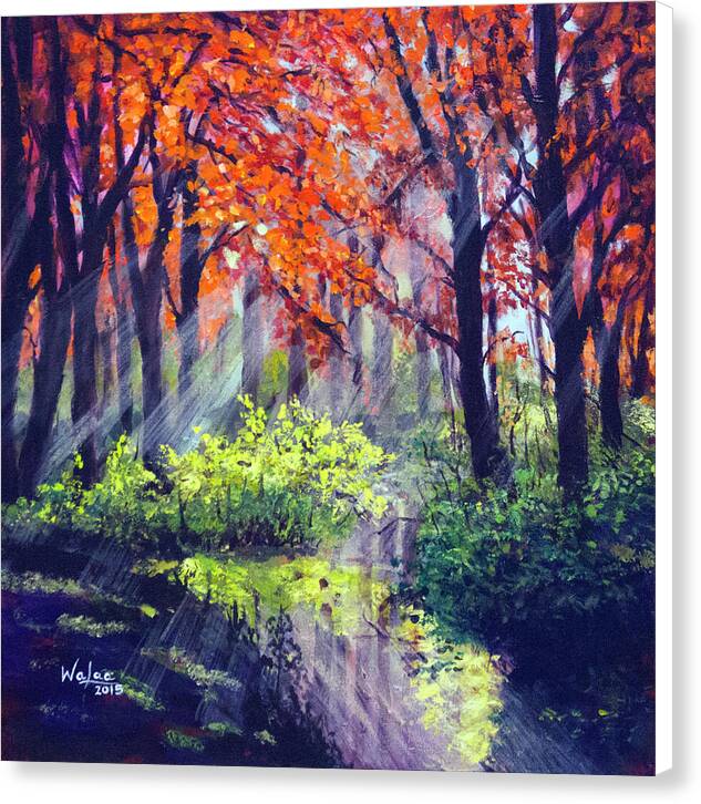 When Light Sneaks - Canvas Print