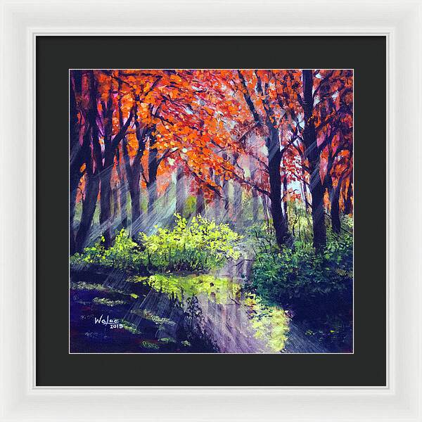 When Light Sneaks - Framed Print