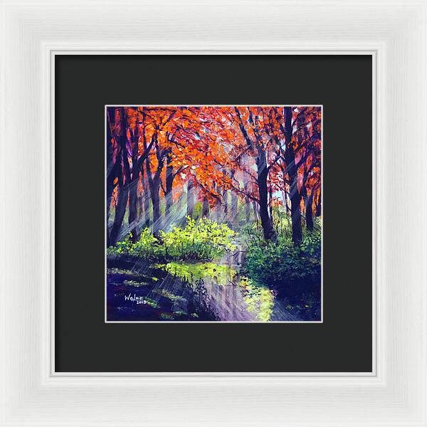 When Light Sneaks - Framed Print