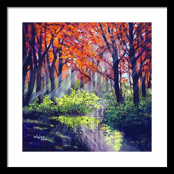 When Light Sneaks - Framed Print