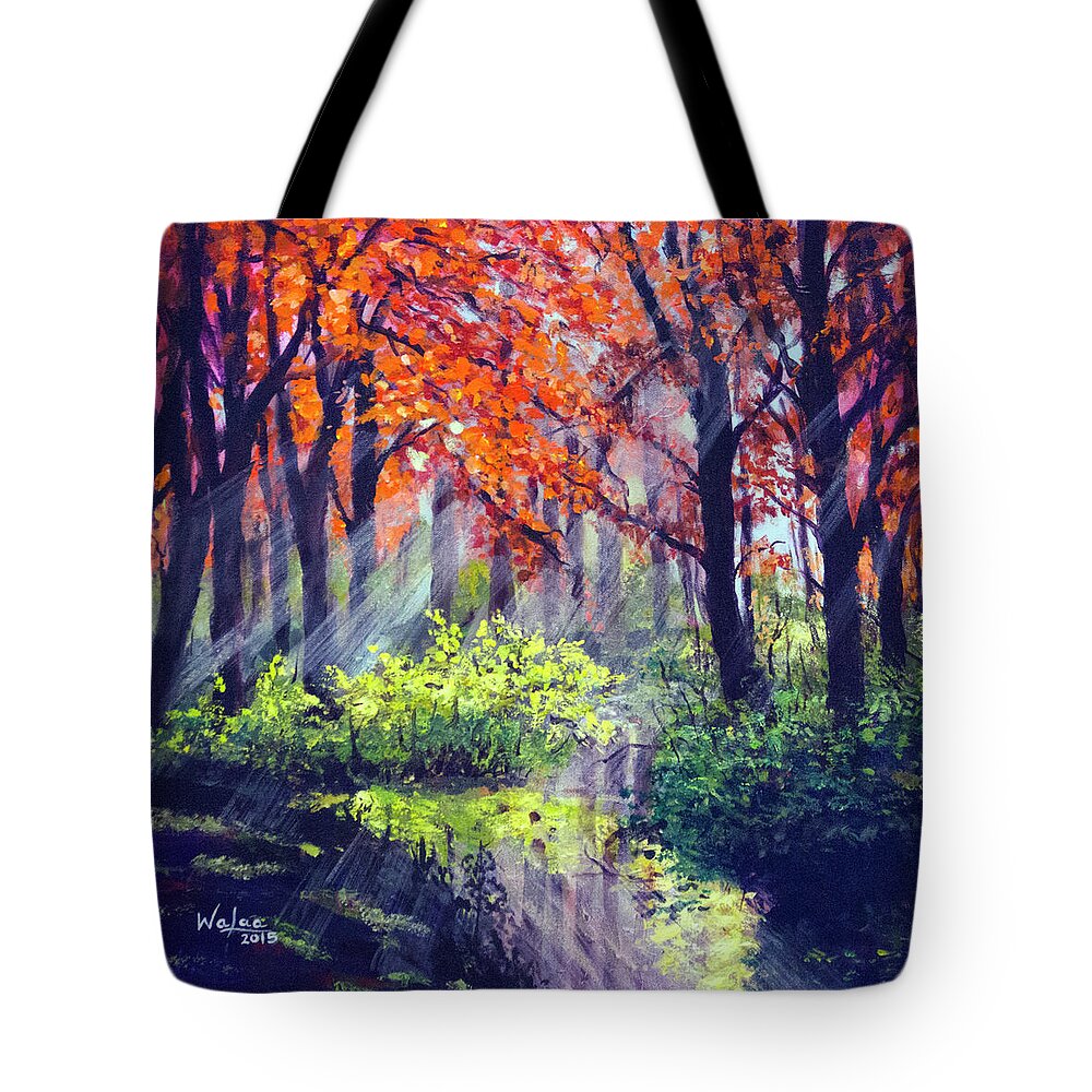 When Light Sneaks - Tote Bag