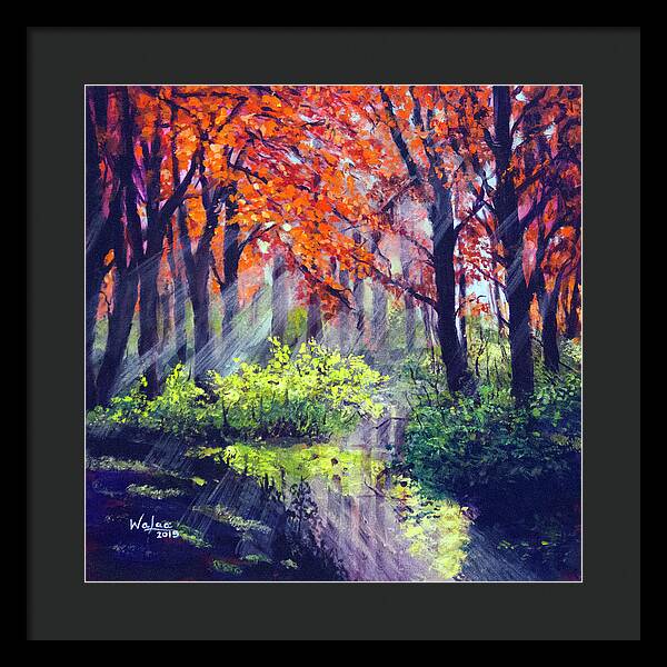 When Light Sneaks - Framed Print