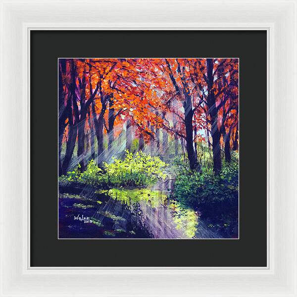 When Light Sneaks - Framed Print