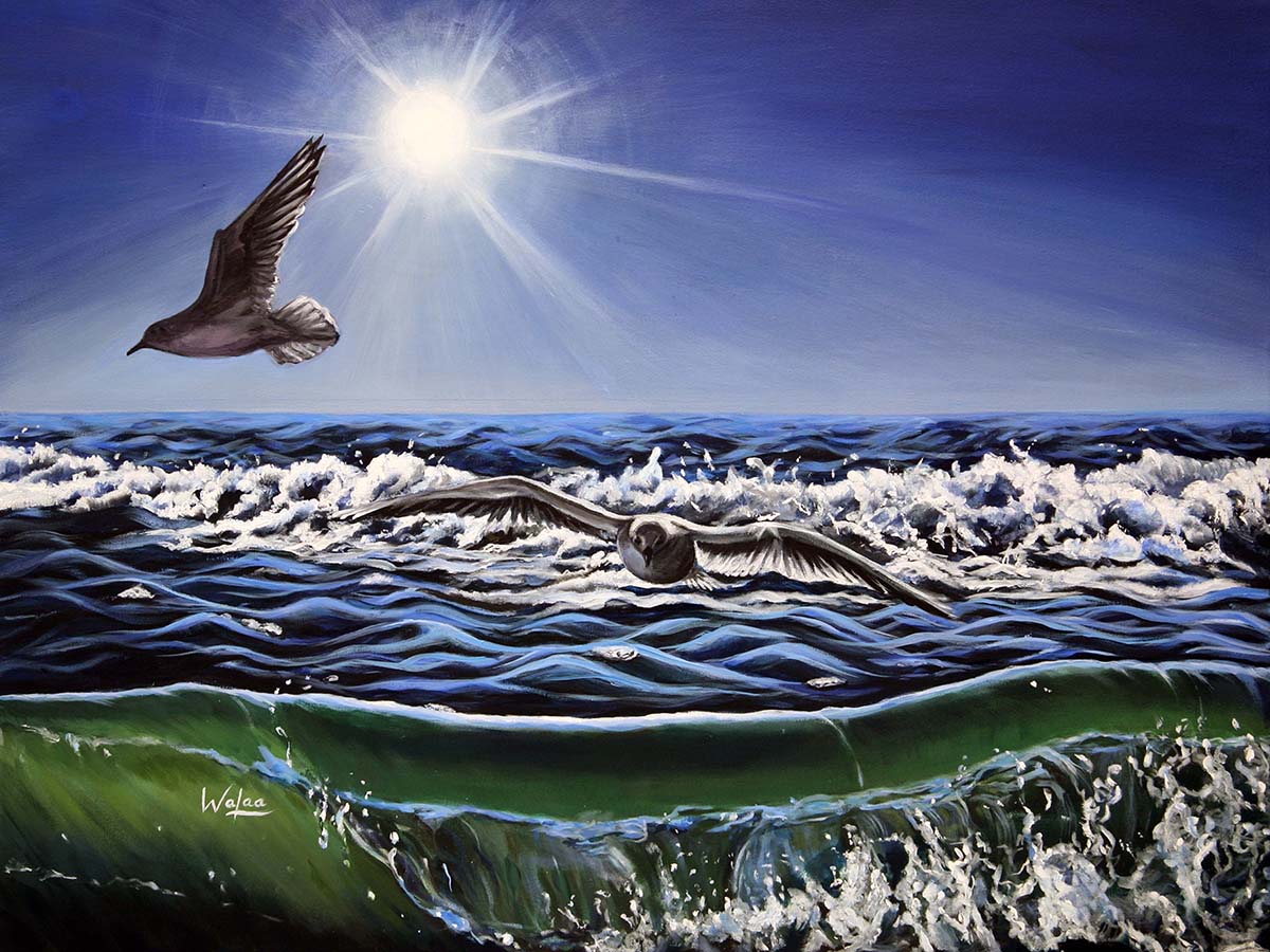 Seagull Freedom by Walaa - Original Acrylic Painting on Canvas