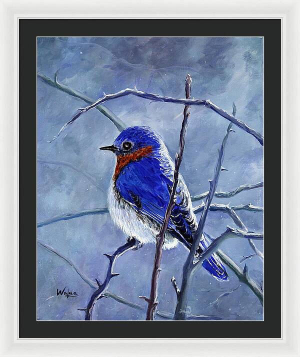 Alone In The Snow Storm - Framed Print