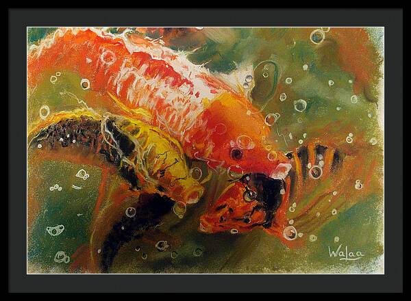 Dance of the Koi - Framed Print