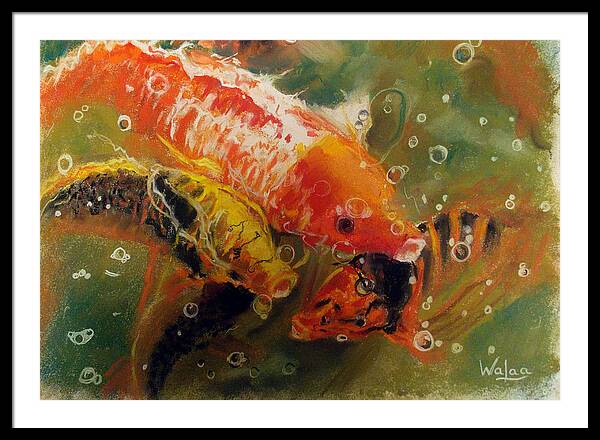 Dance of the Koi - Framed Print