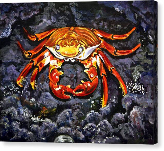 Crab's Bold Hold by Walaa - Canvas Print