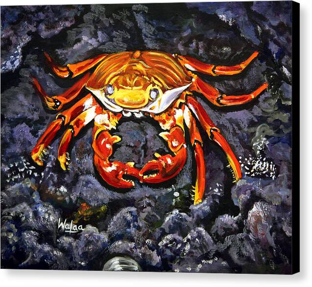 Crab's Bold Hold by Walaa - Canvas Print