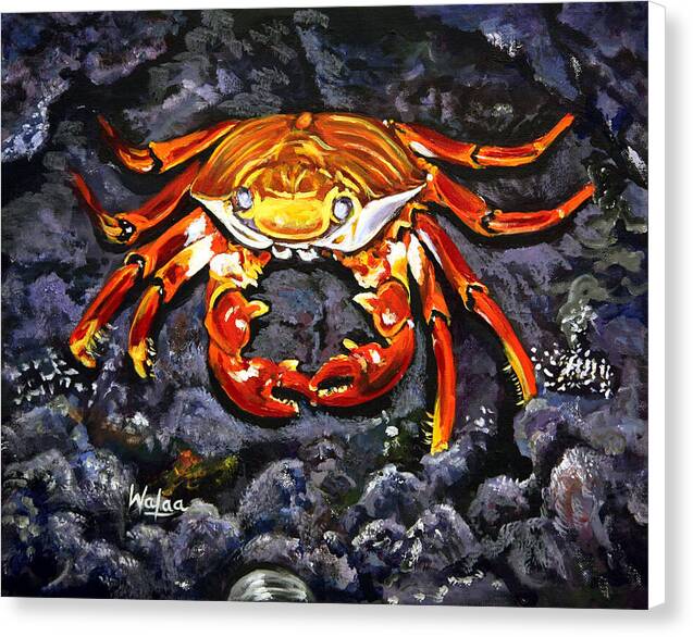 Crab's Bold Hold by Walaa - Canvas Print