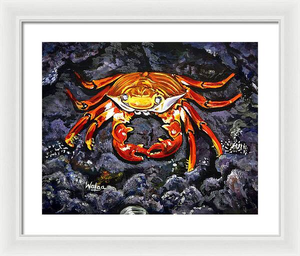 Crab's Bold Hold - Framed Print