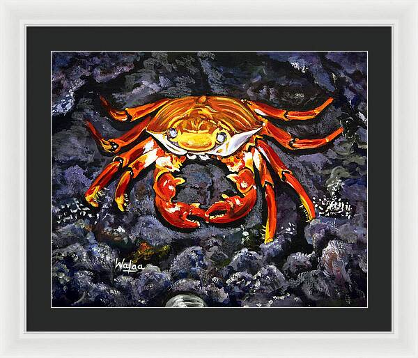 Crab's Bold Hold - Framed Print