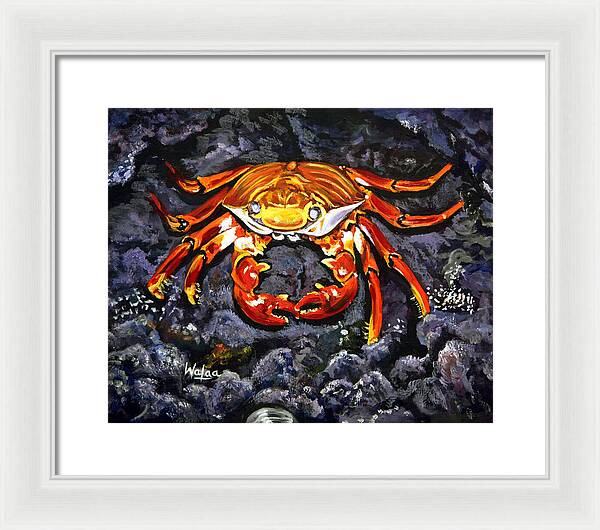 Crab's Bold Hold - Framed Print