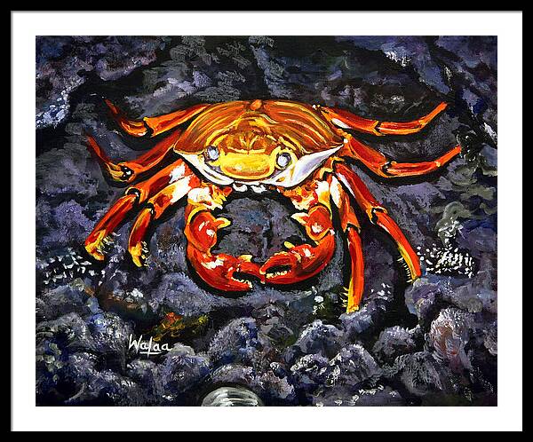 Crab's Bold Hold - Framed Print