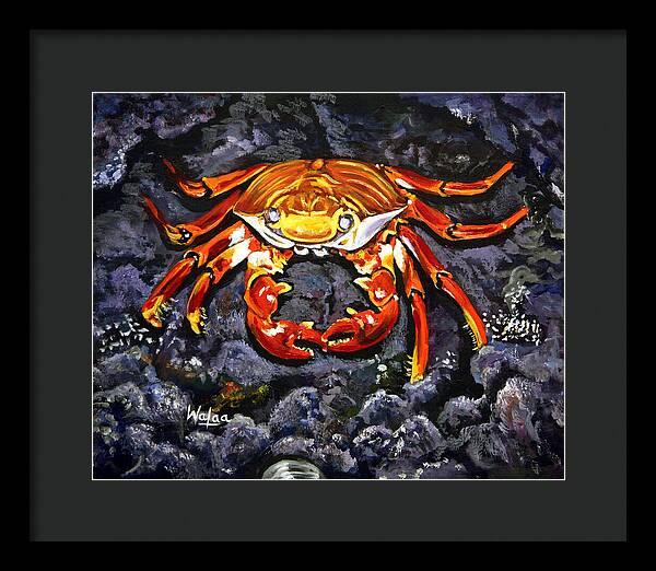 Crab's Bold Hold - Framed Print