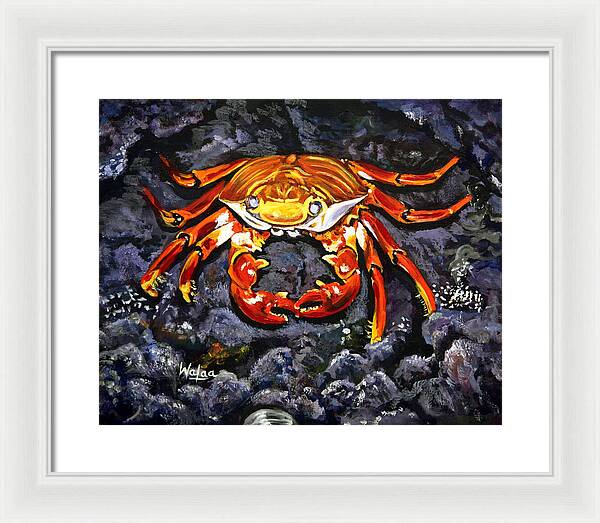 Crab's Bold Hold - Framed Print