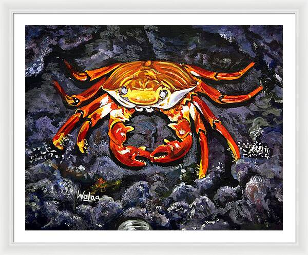 Crab's Bold Hold - Framed Print