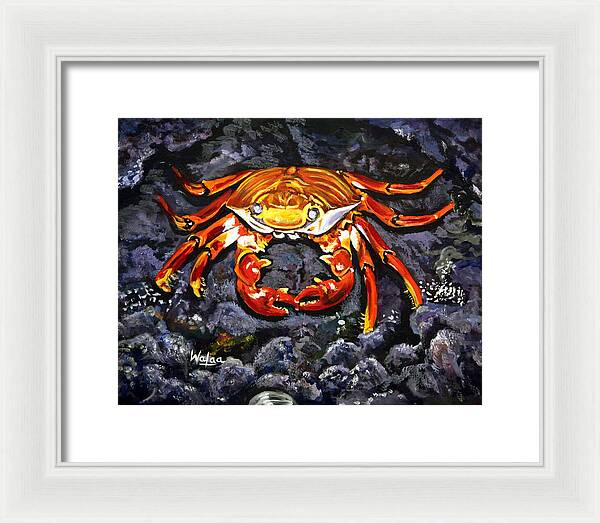 Crab's Bold Hold - Framed Print