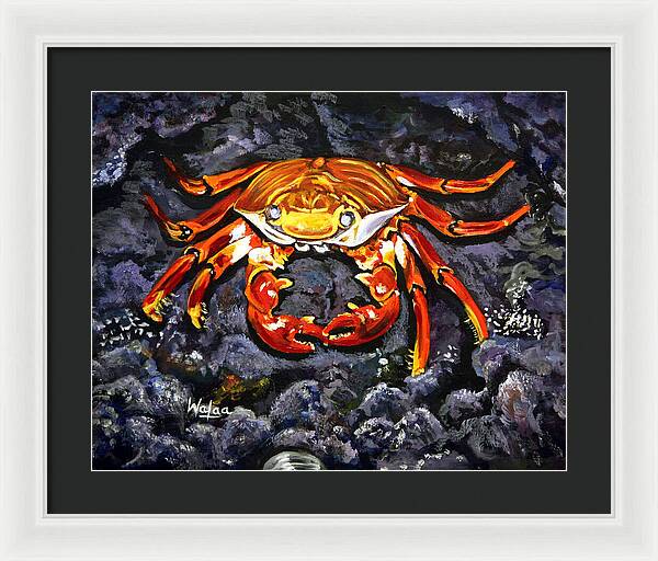 Crab's Bold Hold - Framed Print