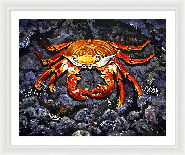 Crab's Bold Hold - Framed Print