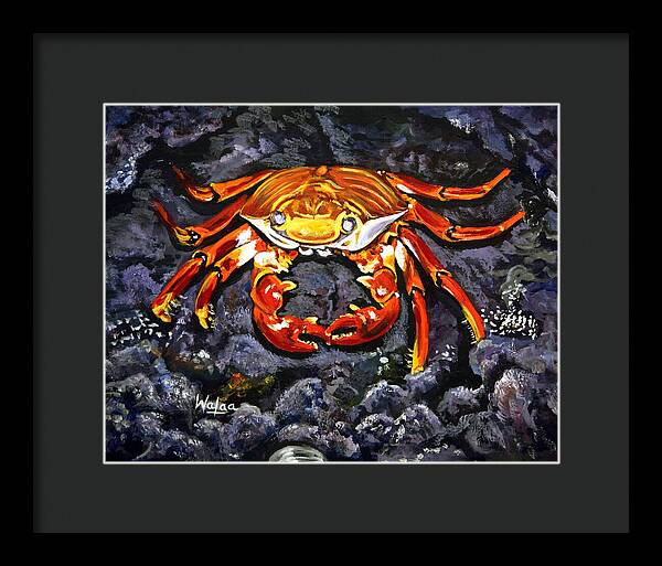 Crab's Bold Hold - Framed Print