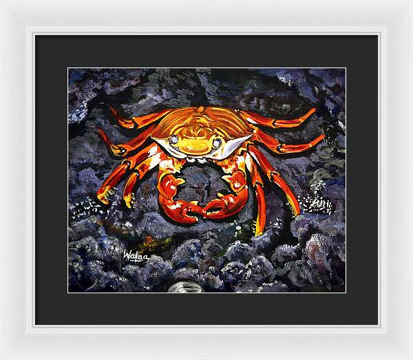 Crab's Bold Hold - Framed Print