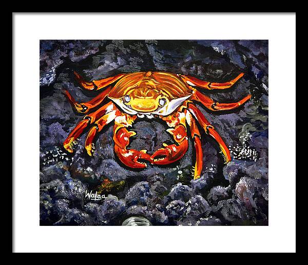 Crab's Bold Hold - Framed Print