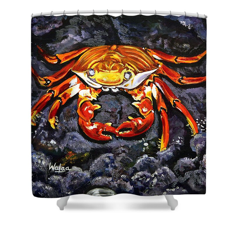 Crab's Bold Hold - Shower Curtain