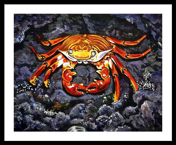 Crab's Bold Hold - Framed Print