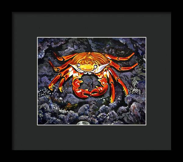 Crab's Bold Hold - Framed Print