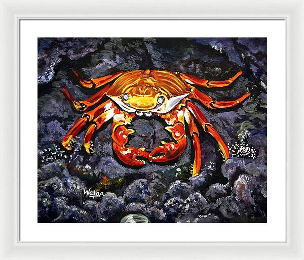 Crab's Bold Hold - Framed Print