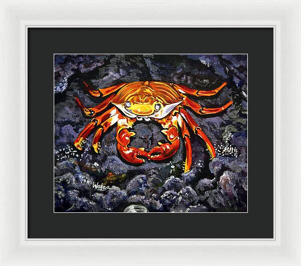 Crab's Bold Hold - Framed Print