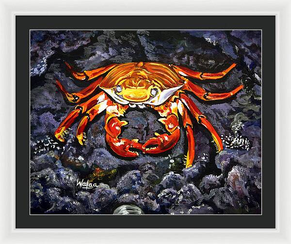 Crab's Bold Hold - Framed Print