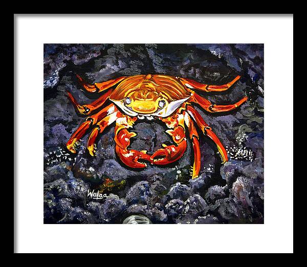 Crab's Bold Hold - Framed Print