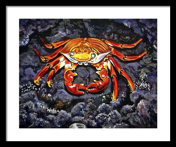 Crab's Bold Hold - Framed Print