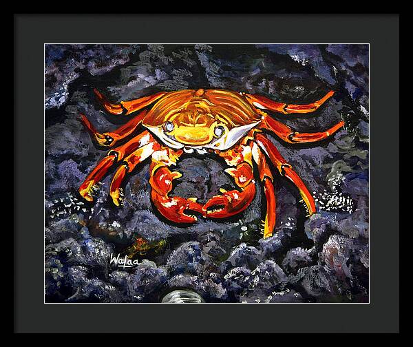 Crab's Bold Hold - Framed Print