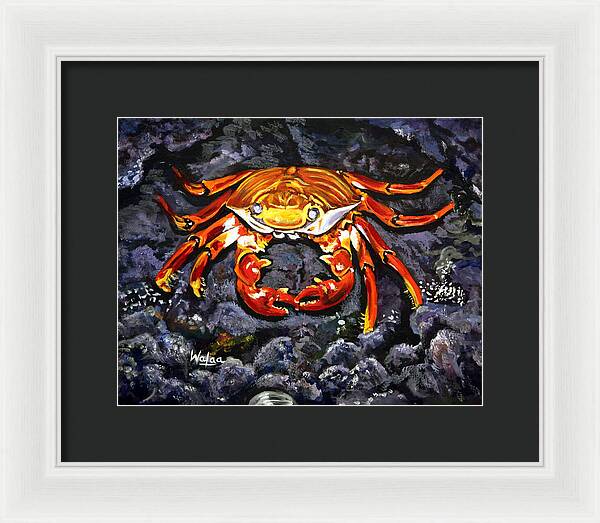 Crab's Bold Hold - Framed Print