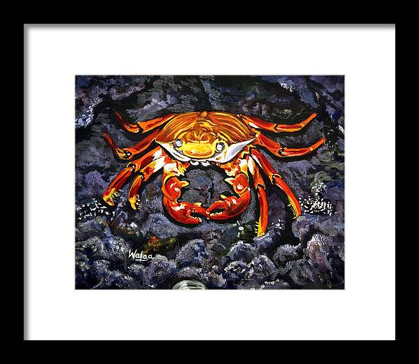 Crab's Bold Hold - Framed Print