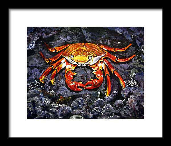 Crab's Bold Hold - Framed Print