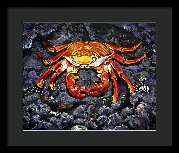 Crab's Bold Hold - Framed Print