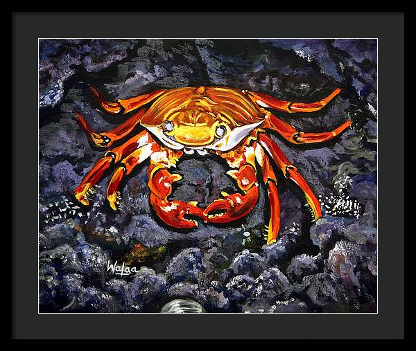 Crab's Bold Hold - Framed Print