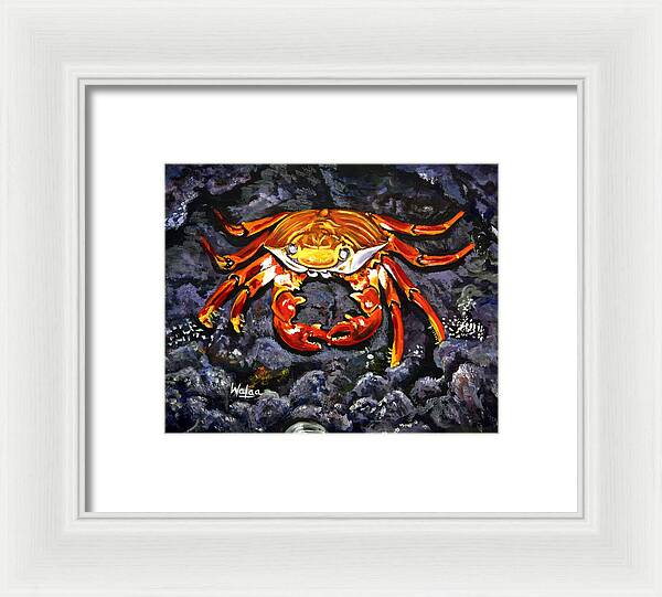 Crab's Bold Hold - Framed Print