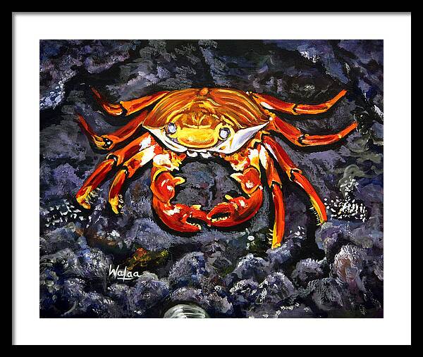 Crab's Bold Hold - Framed Print