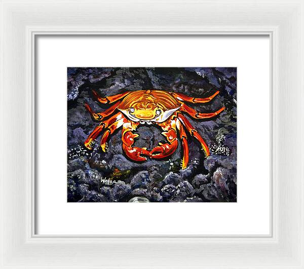 Crab's Bold Hold - Framed Print