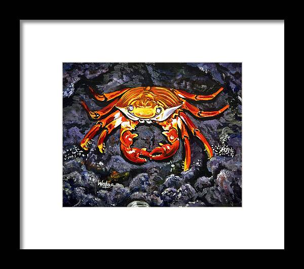 Crab's Bold Hold - Framed Print