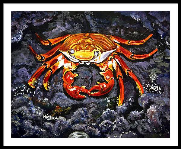 Crab's Bold Hold - Framed Print