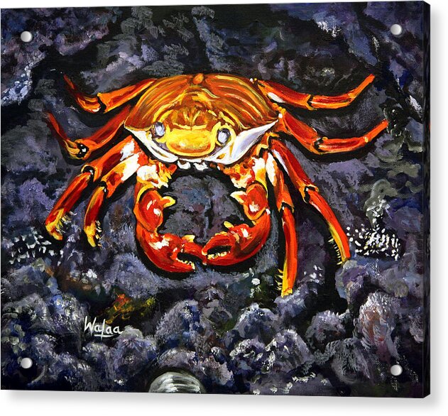 Crab's Bold Hold - Acrylic Print