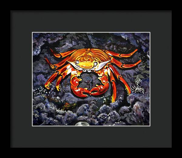 Crab's Bold Hold - Framed Print